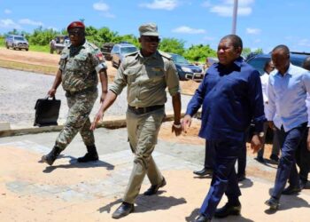 Filipe Nyusi diz que os terroristas sofreram baixas na zona de Mbau