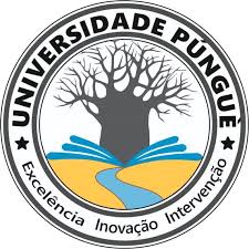 Universidade Púnguè expulsa técnico que defraudava o sistema