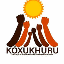 “Koxukhuru” denuncia esquema de corrupção nas Obras Públicas de Nampula