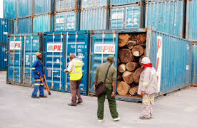 Empresa “S&M Services, Lda” apanhada a extrapolar as quotas de exportação de madeira