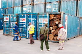 Empresa “S&M Services, Lda” apanhada a extrapolar as quotas de exportação de madeira