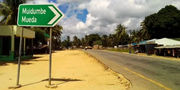 Terroristas atacam e saqueiam arroz das machambas