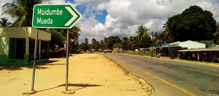 Terroristas atacam e saqueiam arroz das machambas