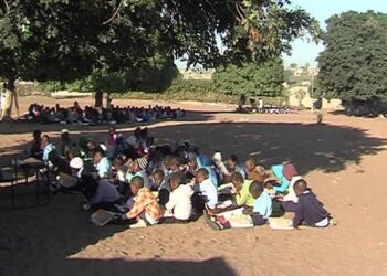 Mais de 43 mil alunos estudam em “salas-árvore” em Sofala