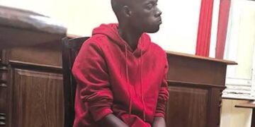 Moçambicano apanhado com morteiro condenado a dez anos na África do Sul